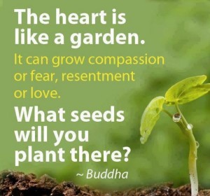 The Heart is Like a Garden